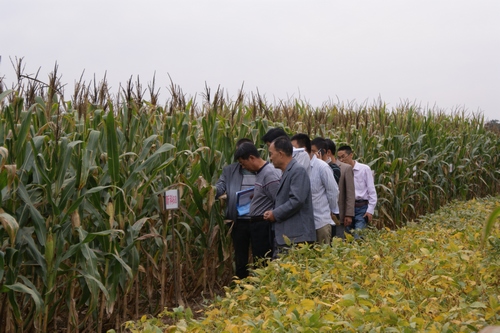 ������ԭ���ٿ�������Ʒ�֡���̨������Ħ��