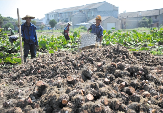 �㽭���룺��ͷ����