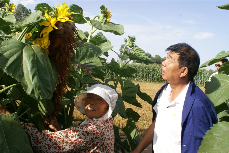 ���ɹŰ����׶������տ��˹������ڷ�����ȡ�óɹ�