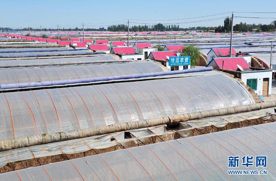 宁夏:设施农业助力失地农民就业1