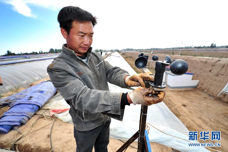 宁夏:设施农业助力失地农民就业3
