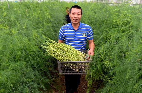 929գغũרҵ紴˳¹л߲԰ժ«