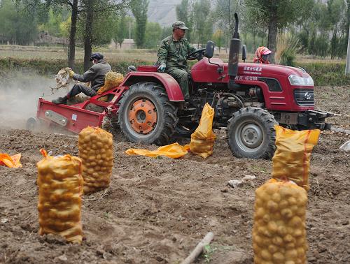 2013年9月29日:旱作农业保证甘肃粮食产量
