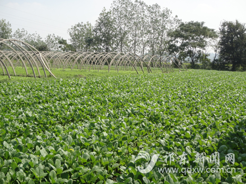 ίίسԪ򶽲춬ͼ3