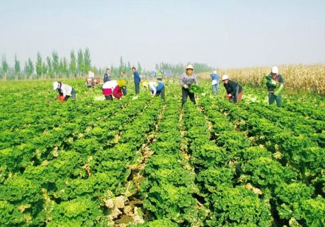 ���ɹŲ���ǰ��2��Ķ�����߲˻����