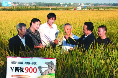 ���գ��ջ��� ����ϣ��