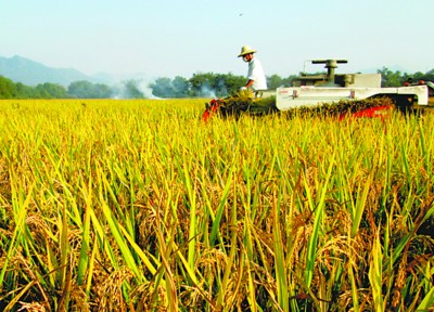 ������ũ�����ո��ɽ��̬���׵�