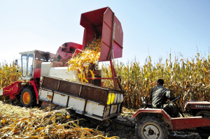 ���ɹź��ͺ������׷���