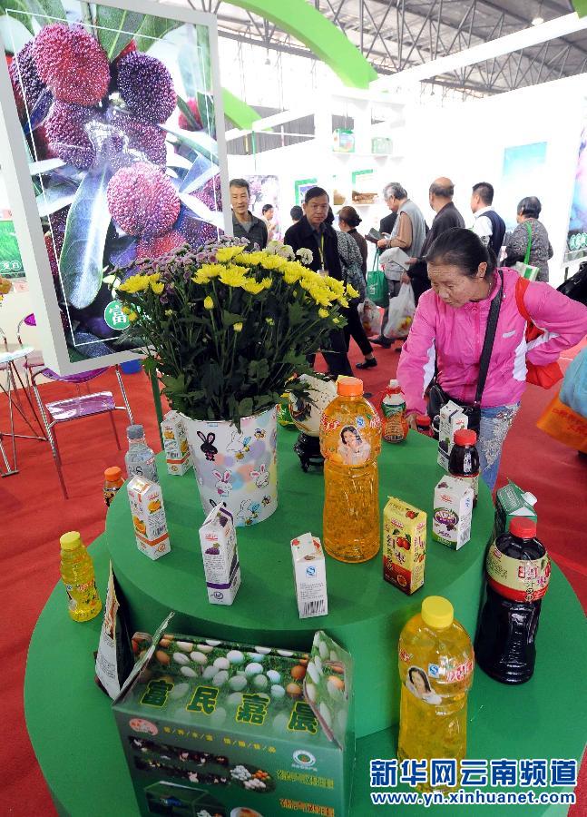 第九届中国昆明泛亚国际农业博览会开幕