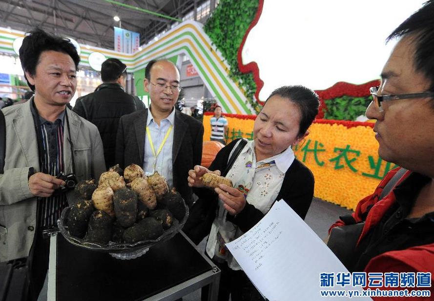 10月9日,参观者在博览会上了解高原特色药材产品