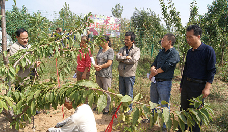 �������ǿ��ũҵ�Ƽ���ѵ �ٽ���ɫ��ҵ��չ