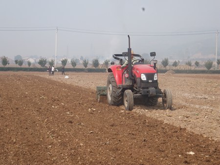 陕西陈仓:落实关键技术措施 种足种好小麦高产创建田(图:3)