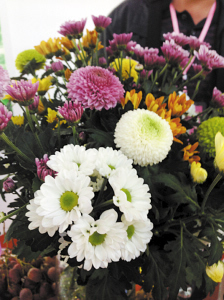 ÔÆÄÏÀ¥Ã÷¸÷ÏØÇøÌØÉ«Å©²úÆ·ÁÁÏàÅ©²©»á£¨Í¼£º2£©