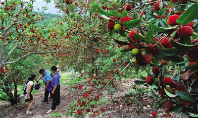 㽭ĳɺϪǿũҵ ʵʩĶ÷ս