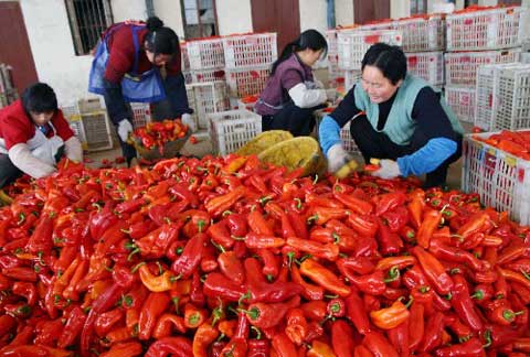 安徽干旱致红辣椒延迟上市 价格超越猪肉