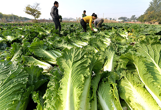 109գʡ˫һҰũհײ