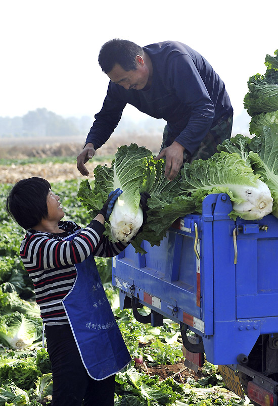 109գʡ˫һҰũײװ׼