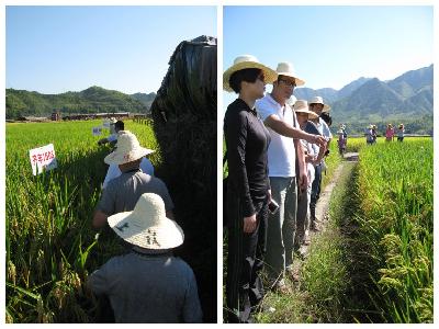 浙江龙泉测土配方施肥技术惊艳丽水全市农业专家