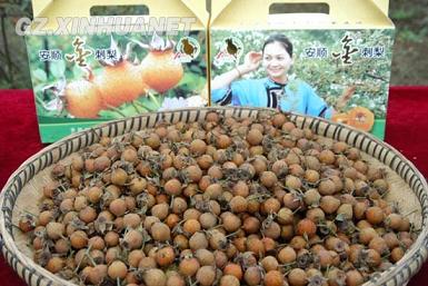 ݰ˳ʮ塱ڼ佫չ20Ķ