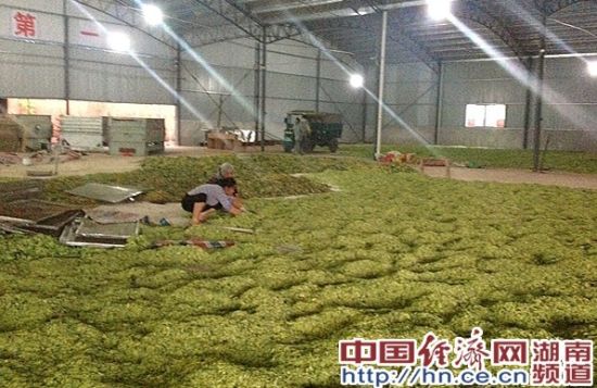 Ůӻɽֽ2013ֵܲ2680