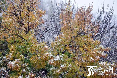 冷空气活动频繁 我国大部开启大风降温之旅