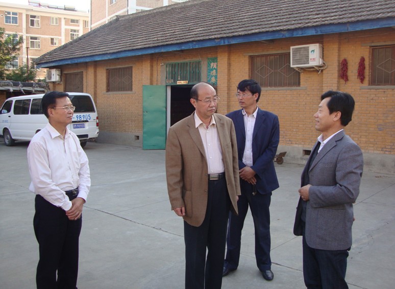 甘肃省商务厅领导调研正宁县中药材市场建设情况