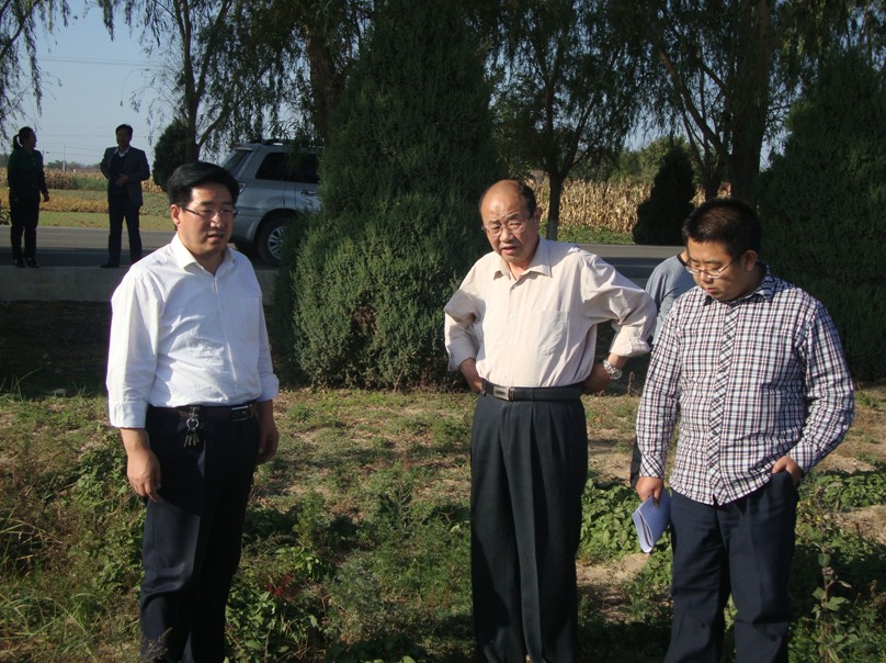 郭维平同志深入农田实地察看正宁丹参种植情况