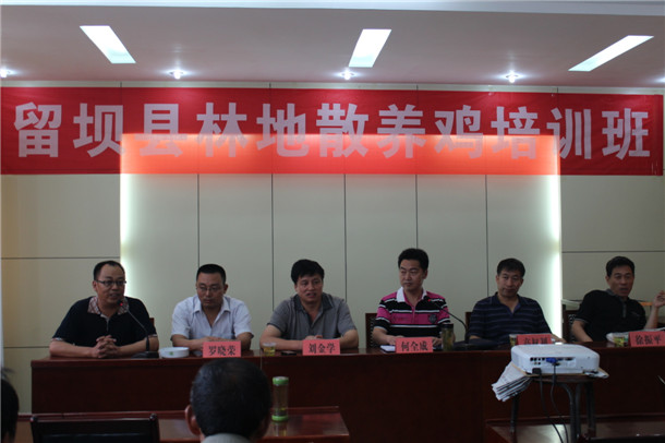 留坝举办林下散养鸡培训班
