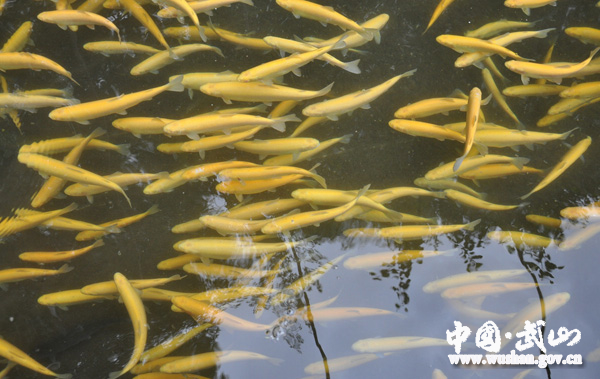 ������ɽ����̨�磺����Ծ��ũ����