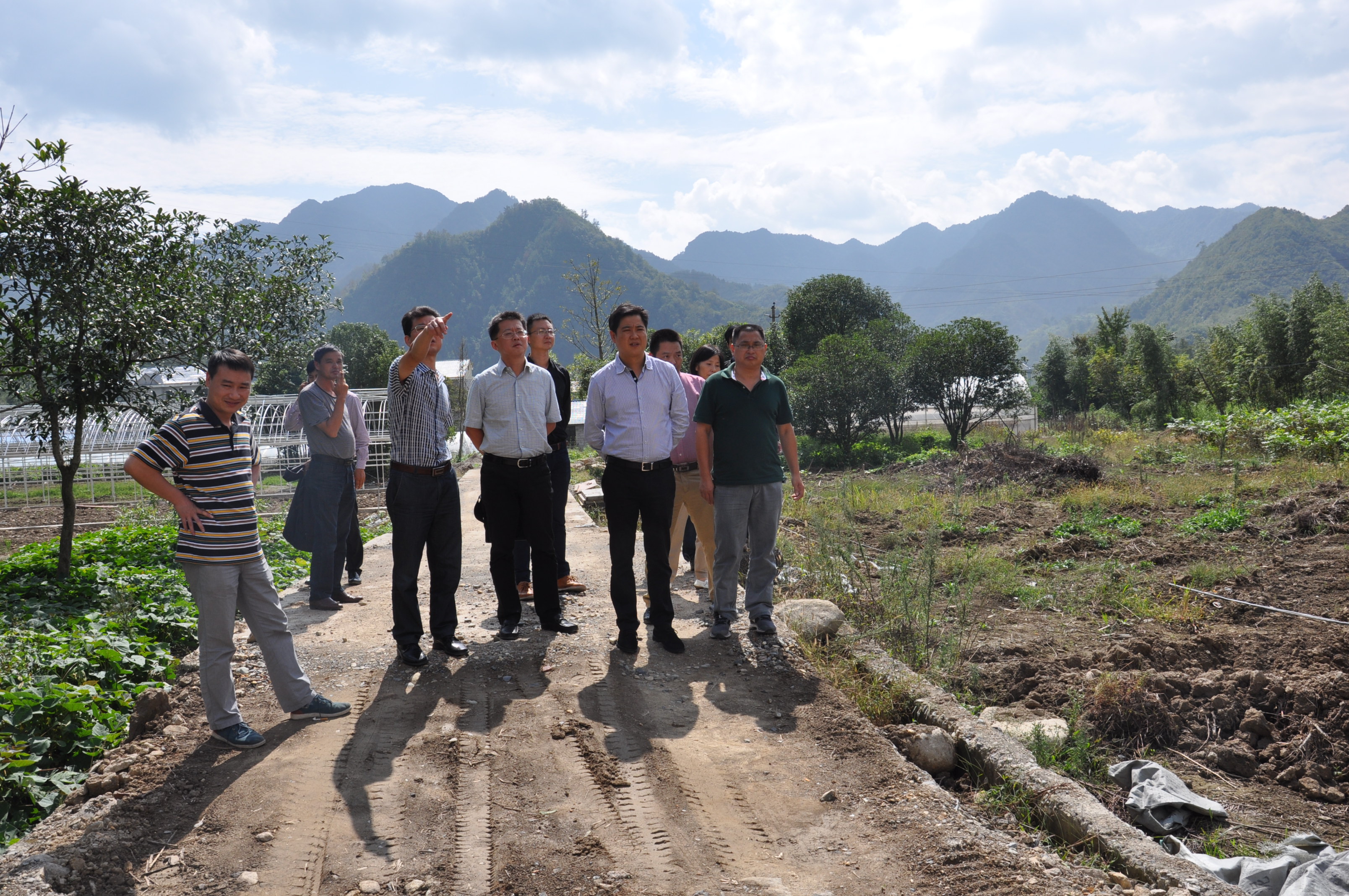 浙江临安市开建蔬菜集约化育苗中心 推进新型农业社会化服务体系建设