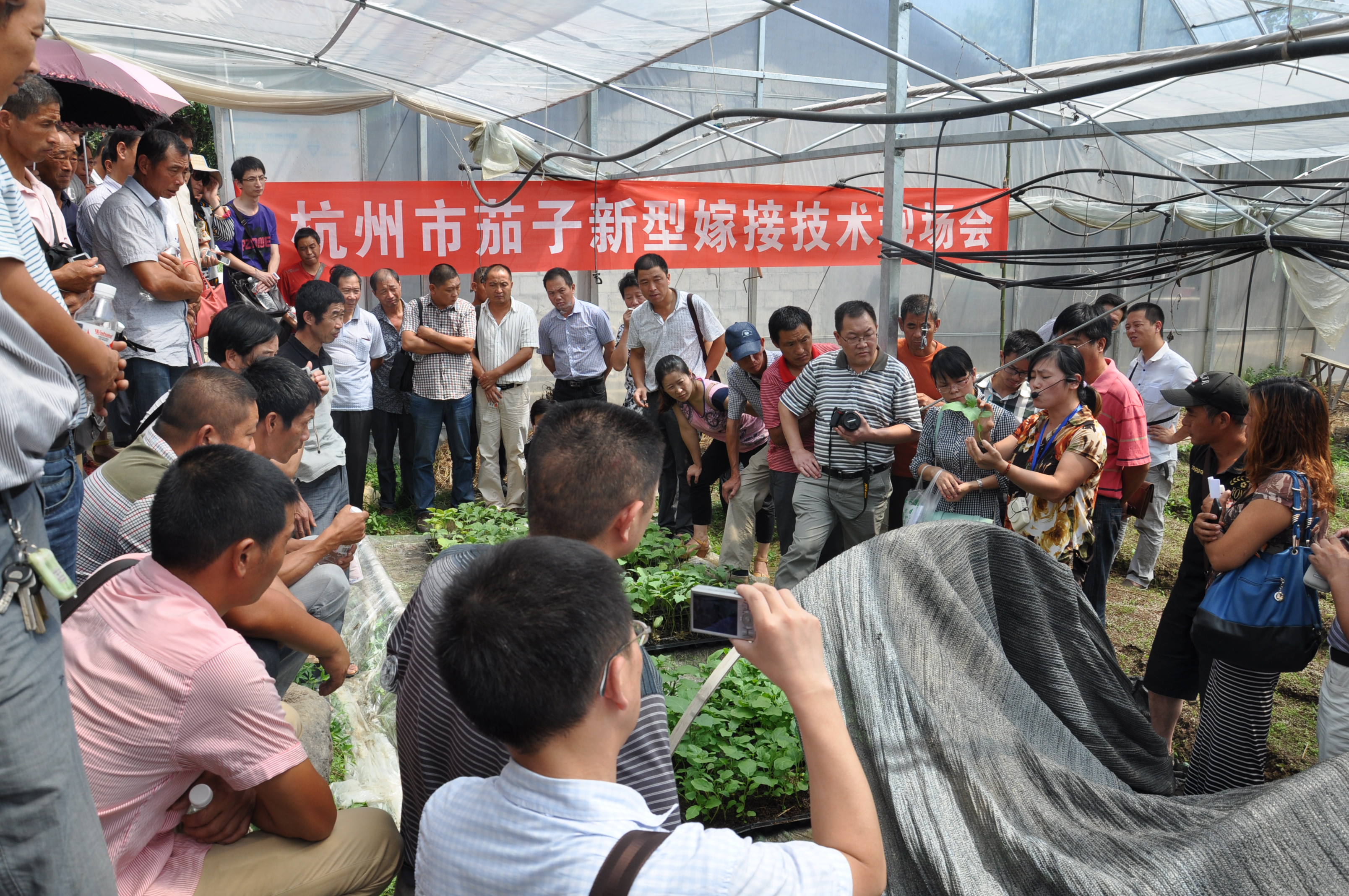 浙江临安市开建蔬菜集约化育苗中心 推进新型农业社会化服务体系建设2