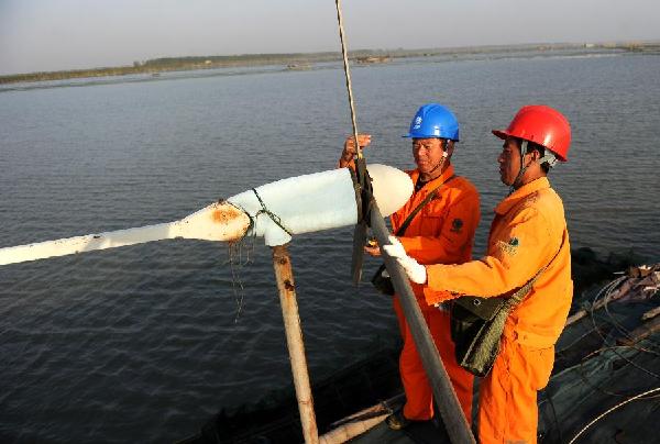 ���գ����������������