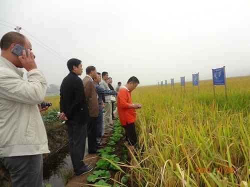 оٰ2013Ʒչʾʾ̶ֻ1