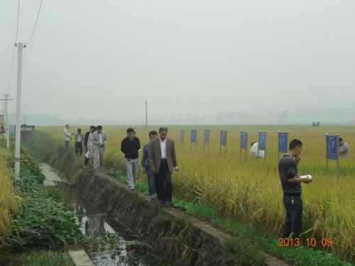 оٰ2013Ʒչʾʾ̶ֻ3