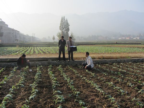 磺Լץʵ ѺͲԹأֳ