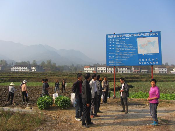 磺Լץʵ ѺͲԹأũ̸