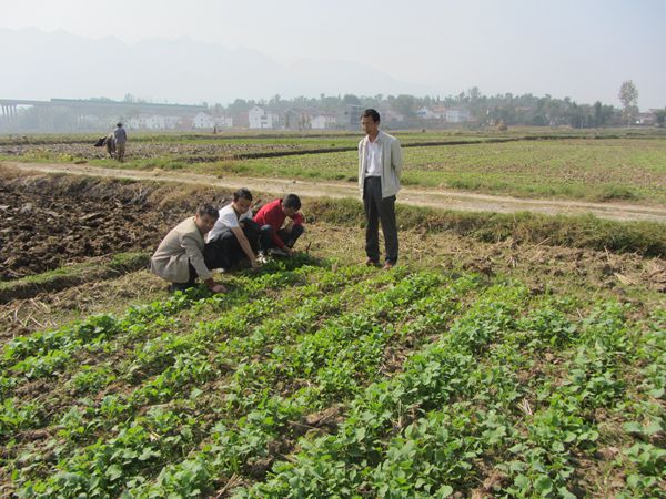 磺Լץʵ ѺͲԹأ鿴飩