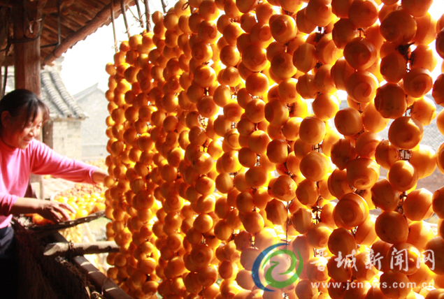 ɽ����������������ϲ����