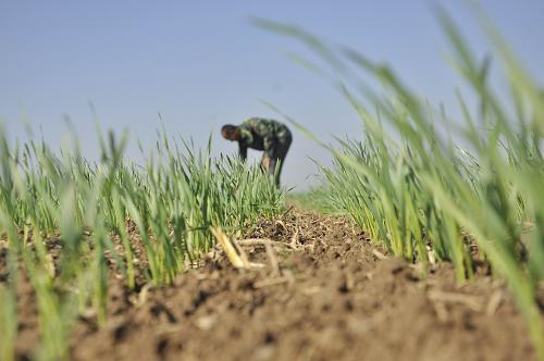 1015գɽʡĳƽؼկһũڲ鿴С