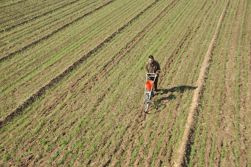 1015գɽʡĳƽؼկһũﲹȱС