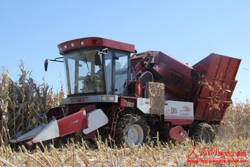 合作社采用机械化收割,提高了收割效率