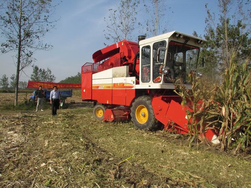 ���ա����ũ����������������չ