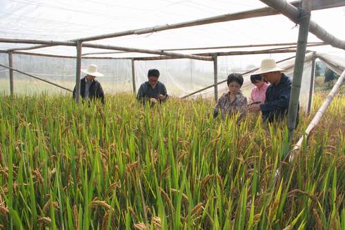 �㽭������Բ����ɡ�2013�꺼����ˮ������Ʒ�ָв����Ե��顱����