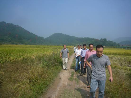 �㽭�����������󻧳���ˮ���߲���ֲ��������