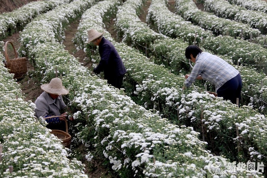 ���ջ�ɽ���ս��� ��ũ���չ���