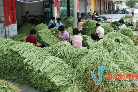 全市蔬菜年种植面积37万亩,总产超过40万吨