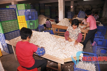 全市桑园面积8.2万亩,年产鲜茧1.8万吨