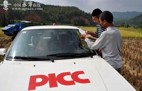 福建泰宁:开展水稻保险现场勘查工作