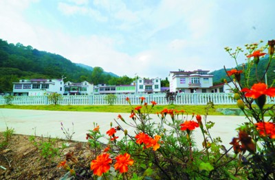 λ�ں��ν�800��ɽ���ġ���ɽľ�ݡ�