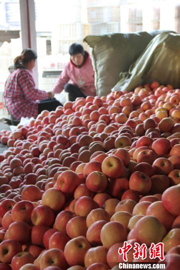 �����硱ɽ����ϼƻ�������ڳ�ũ�����